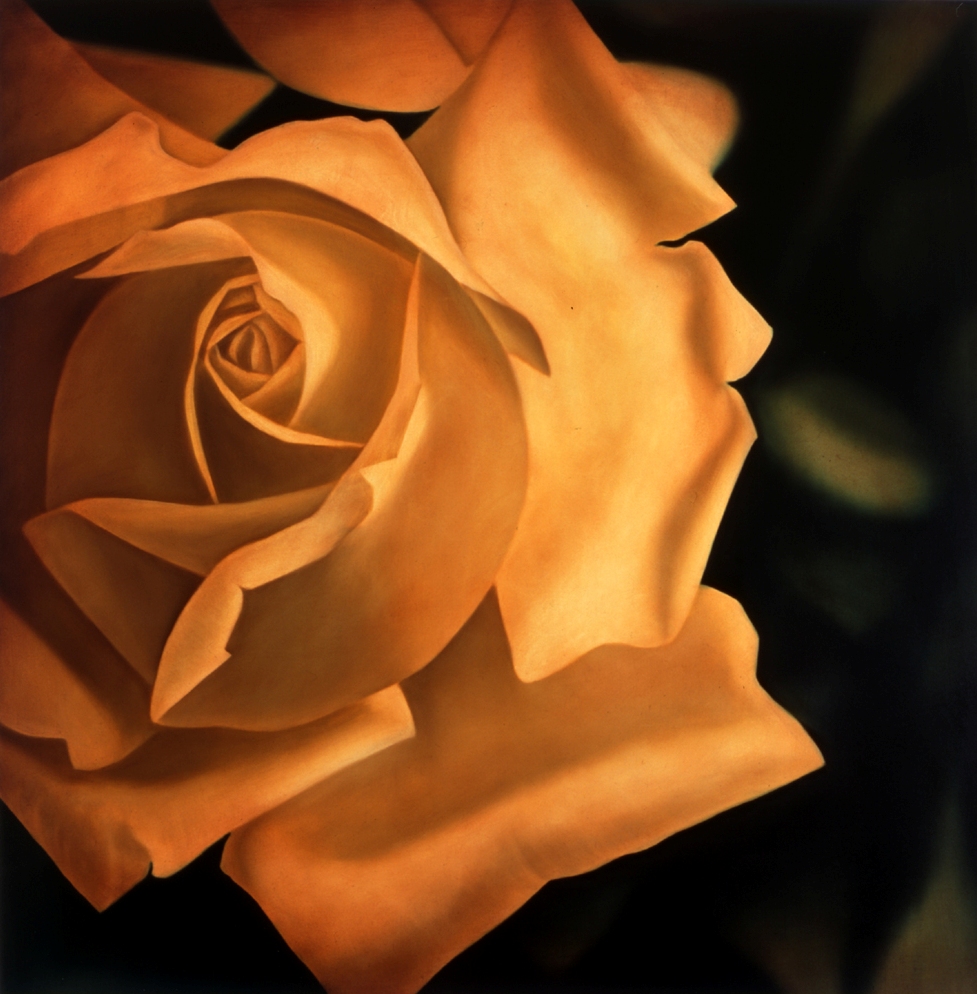 Take wing / 55×55cm / Giclee print