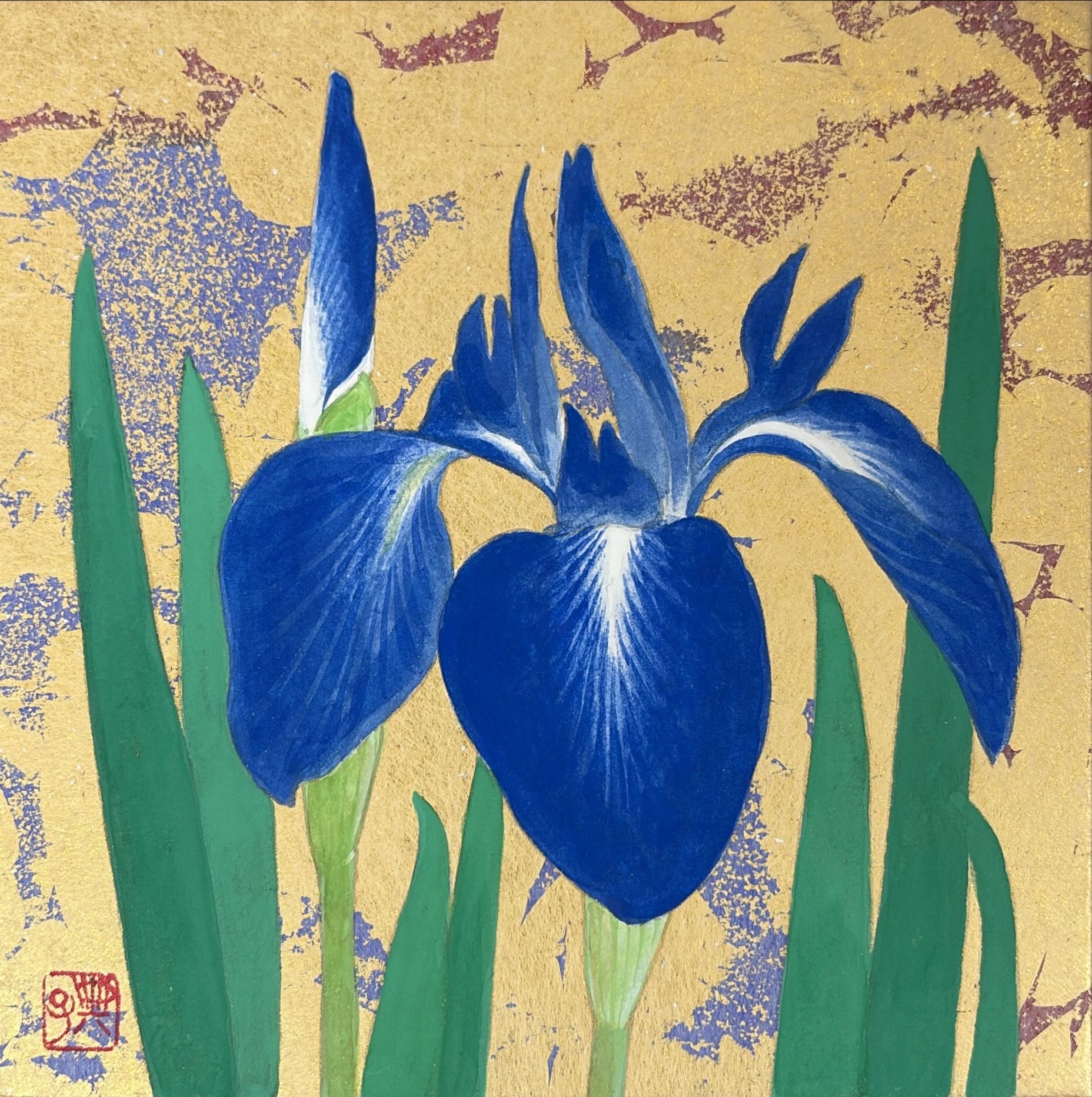 《かきつばた》紙本彩色 / 14×14cm