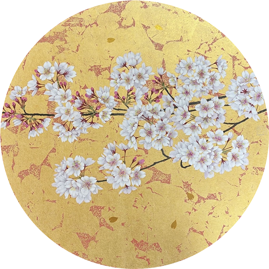 《さくらさく》紙本彩色 / 円形8号